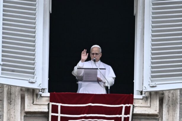 Βατικανό: O πάπας στηλιτεύει την "αποτρόπαια βία" στο Ιράν, ζητά εκεχειρία 113