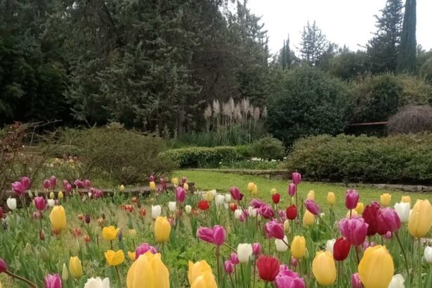 Έκρηξη ανοιξιάτικης ομορφιάς στον Διομήδειο Κήπο 115