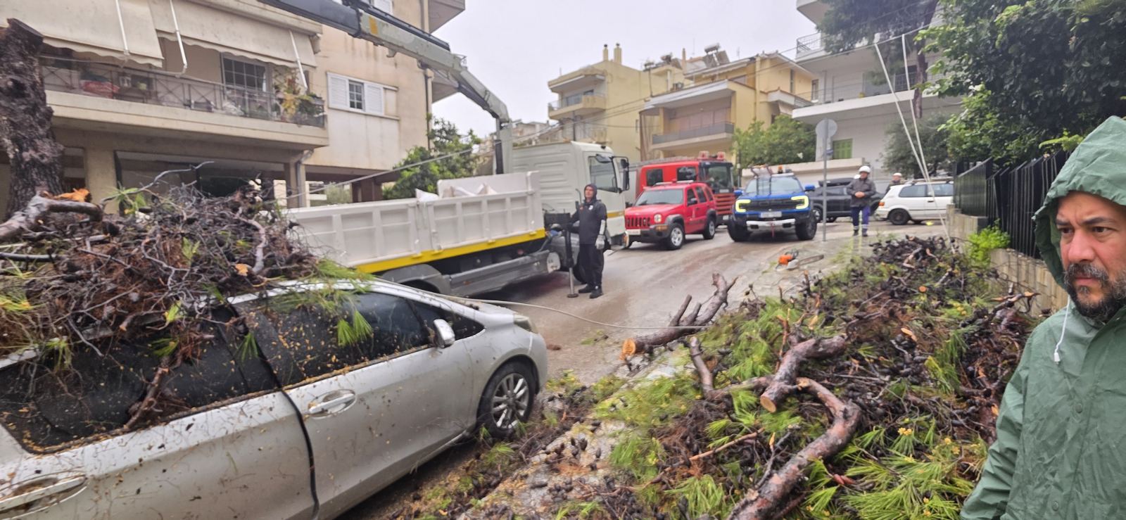 Χαϊδάρι: Πτώσεις δέντρων, ζημιές σε αυτοκίνητα και διακοπές ρεύματος - Ολονύκτια προσπάθεια των συνεργείων 3