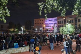 Πλήθος νέου κόσμου στη συναυλία για τον Παύλο Φύσσα 23