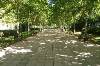 Πώς η φυτοκάλυψη στα αστικά κέντρα αλλάζει την τοπική οικονομία και τις αξίες ακινήτων 26