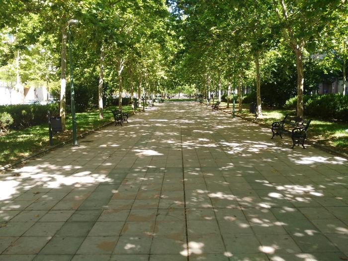 Πώς η φυτοκάλυψη στα αστικά κέντρα αλλάζει την τοπική οικονομία και τις αξίες ακινήτων 1