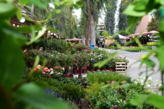 Η μεγάλη έκθεση "Φυτά & Κήπος" στο Άλσος Περιστερίου - Είσοδος ελεύθερη 25