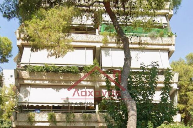 Πωλείται διαμέρισμα με προσεκτική ανακαίνιση, στο Δάσος Χαϊδαρίου 104
