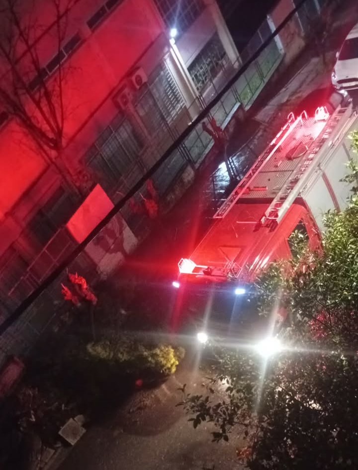 Χαϊδάρι: Πτώσεις δέντρων, ζημιές σε αυτοκίνητα και διακοπές ρεύματος - Ολονύκτια προσπάθεια των συνεργείων 9