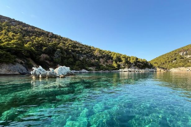 Δήμαρχος Σκύρου: Όταν η “πράσινη ανάπτυξη” απειλεί το ίδιο το πράσινο! 115