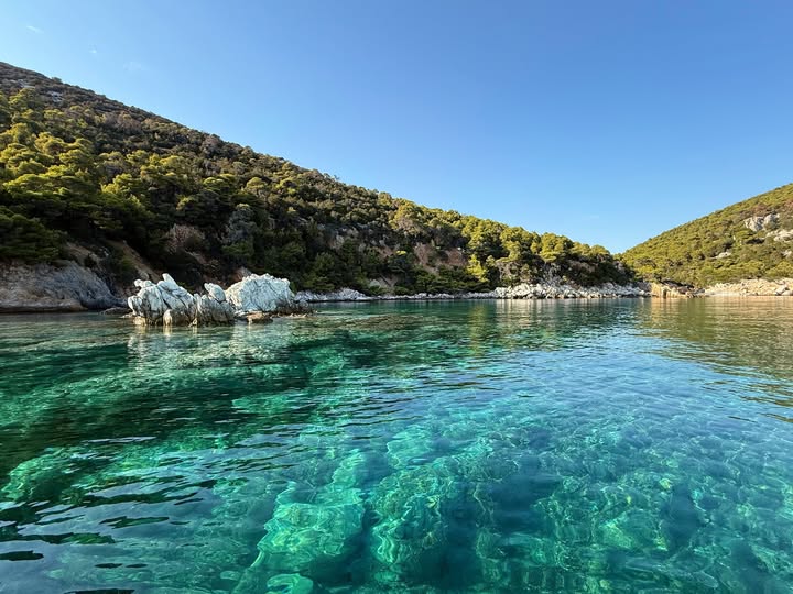 Δήμαρχος Σκύρου: Όταν η “πράσινη ανάπτυξη” απειλεί το ίδιο το πράσινο! 1