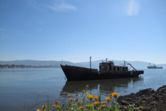 "Τόπος όπου να αξίζει να ζούμε: Υπάρχει ακόμη χρόνος για ένα διαφορετικό μέλλον;" 25