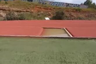 Μαζικά γεννητούρια στο Αθλητικό Κέντρο Δάσους - Βίντεο 25