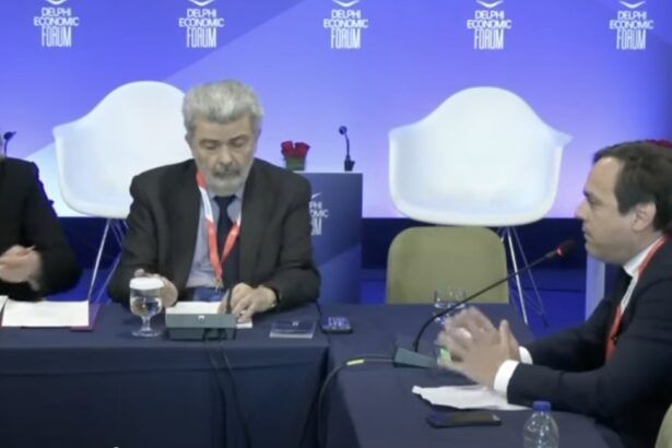 Ο Βαγγέλης Ντηνιακός για το Πάρκο Νεολαίας στο Delphi Economic Forum: Ντεμέκ διαβούλευση" - Βίντεο 111