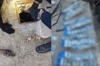 Μεγάλη αστυνομική επιχείρηση σε οικισμό στον Ασπρόπυργο – Έκρυβαν σε βόθρο καραμπίνες και πινακίδες, 10 συλλήψεις 25