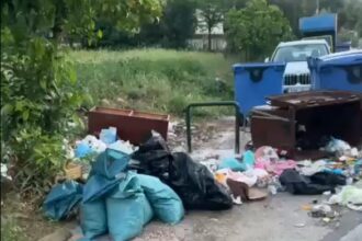 Καγκελάκια εναντίον τεράστιων ζώων 35