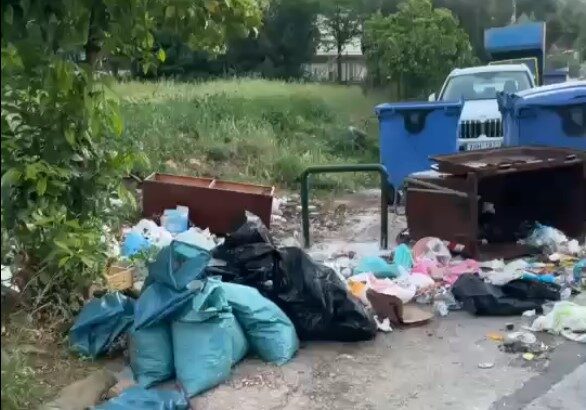 Καγκελάκια εναντίον τεράστιων ζώων 107