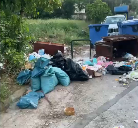 Καγκελάκια εναντίον τεράστιων ζώων 11