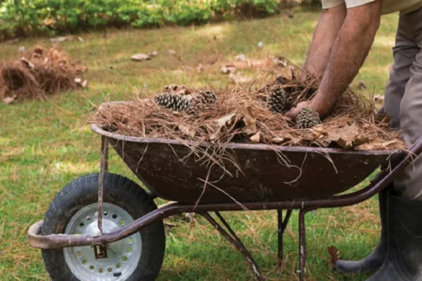 Δήμος Χαϊδαρίου - Καθαρισμός οικοπέδων 103