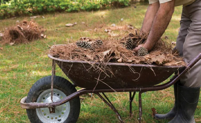 Δήμος Χαϊδαρίου - Καθαρισμός οικοπέδων 1