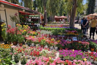 Η αγαπημένη έκθεση "Φυτά και Κήπος" και φέτος στο Άλσος Περιστερίου 25