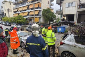 Χαϊδάρι: Πτώσεις δέντρων, ζημιές σε αυτοκίνητα και διακοπές ρεύματος - Ολονύκτια προσπάθεια των συνεργείων 29