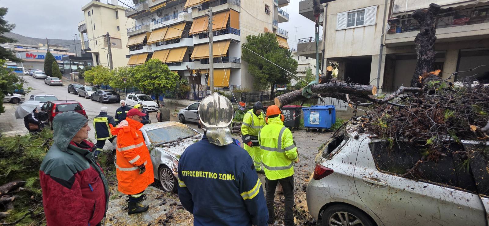 Χαϊδάρι: Πτώσεις δέντρων, ζημιές σε αυτοκίνητα και διακοπές ρεύματος - Ολονύκτια προσπάθεια των συνεργείων 3
