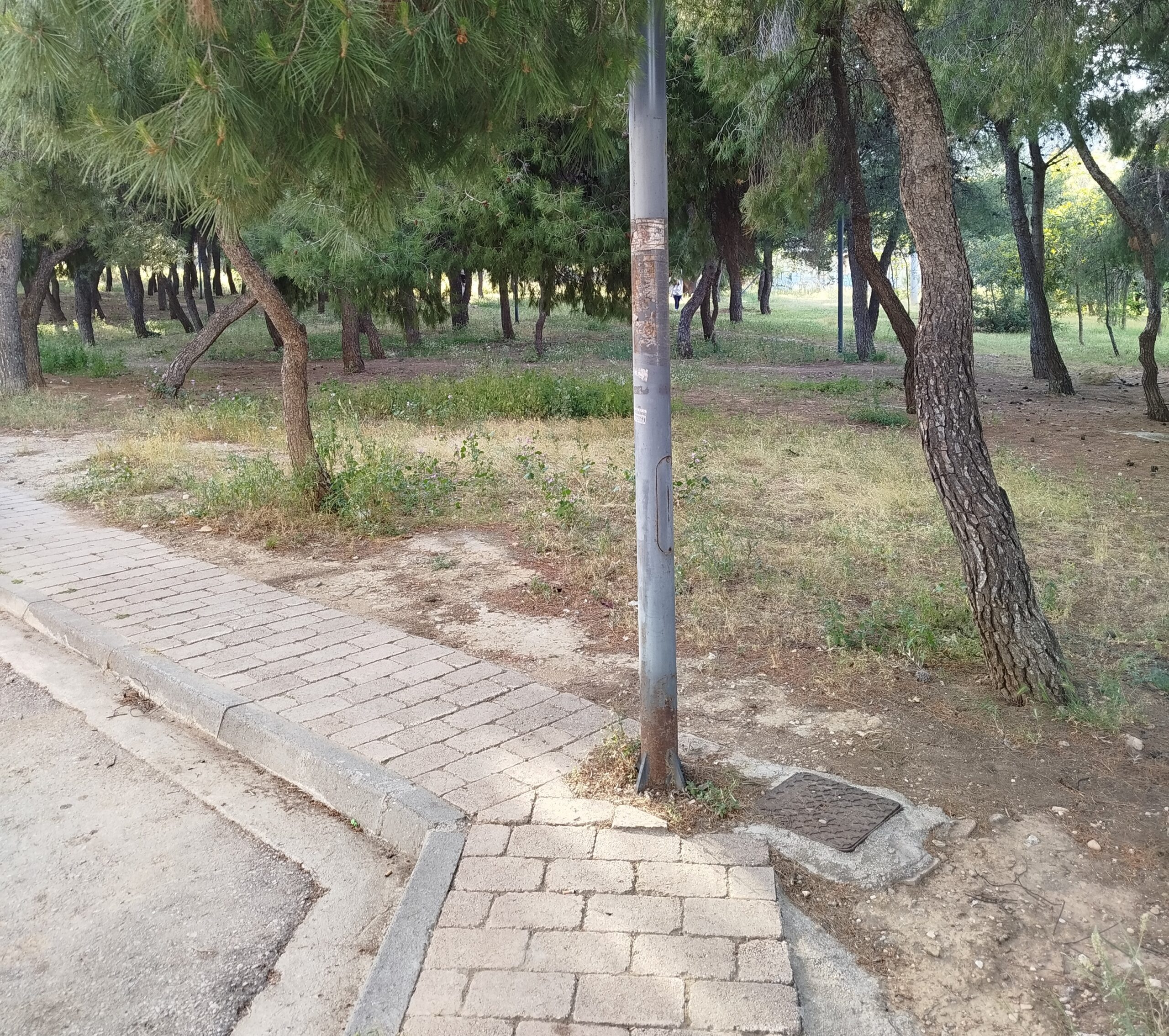 Πόσο ασφαλής είναι η κατασκευή σταθμού φόρτισης ηλεκτρικών λεωφορείων μέσα στο Πάρκο; 19