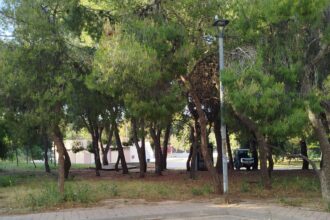 Πόσο ασφαλής είναι η κατασκευή σταθμού φόρτισης ηλεκτρικών λεωφορείων μέσα στο Πάρκο; 35