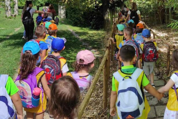 Ξεκινούν οι αιτήσεις για το Summer Camp του Δήμου Χαϊδαρίου 102