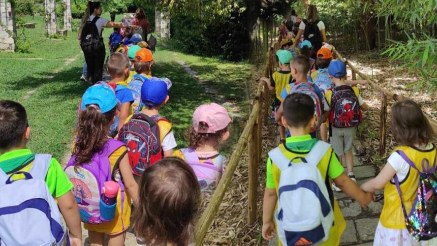 Ξεκινούν οι αιτήσεις για το Summer Camp του Δήμου Χαϊδαρίου 1