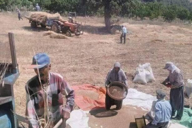 Τι είναι, τελικά, η πατρίδα; 7