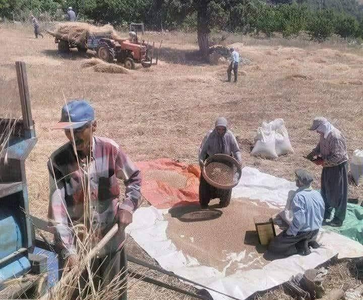 Τι είναι, τελικά, η πατρίδα; 1