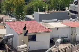 Περιστέρι: Tο δώμα - τρώγλη όπου ζούσαν τα 6 παιδιά, οι 3 καταγγελίες και η χαμένη επιμέλεια 17