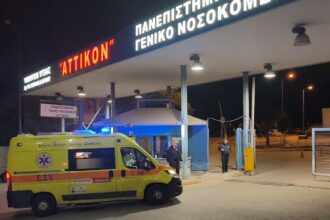 Παραμύθι χωρίς δράκο στο Αττικόν: Η Μάρω Κοντού και το μαχαίρι του 90χρονου - Αφέθηκε ελεύθερος 24