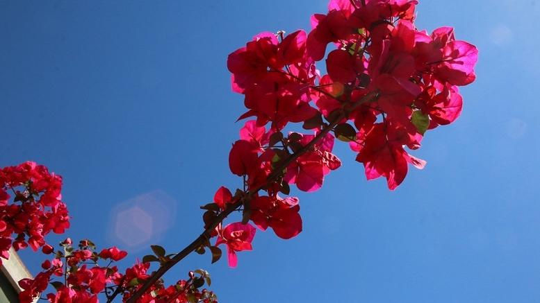 Καιρός: Πότε επιστρέφει η άνοιξη 1