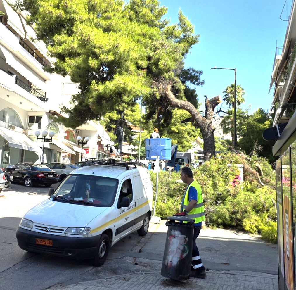 Έσπασε πεύκο στη Γ. Παπανδρέου, από θαύμα δεν τραυματίστηκε κανένας 3