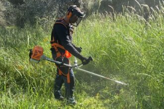 "Κόβουν τα χόρτα, αλλά κάνουν τη μισή δουλειά" 23