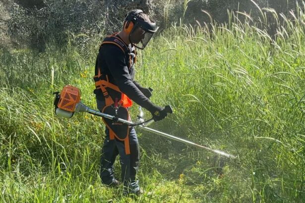 "Κόβουν τα χόρτα, αλλά κάνουν τη μισή δουλειά" 99