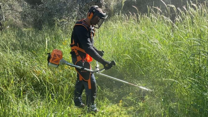 "Κόβουν τα χόρτα, αλλά κάνουν τη μισή δουλειά" 15