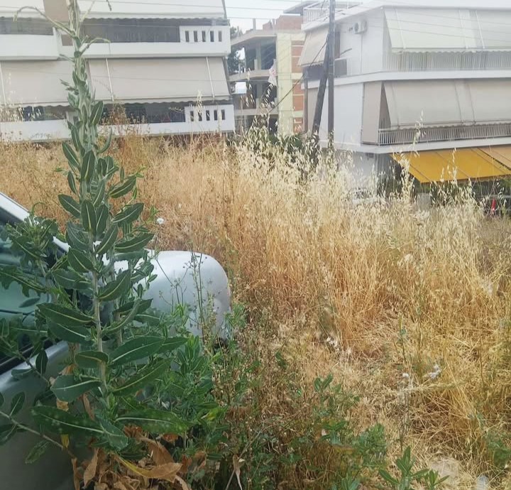 Εκρηκτικό μείγμα η αυτοσχέδια, μόνιμη χωματερή στο Δάσος 15