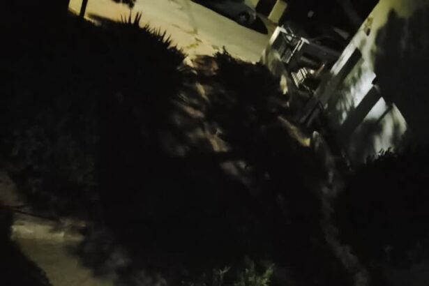 "Αργεί το Πάσχα για να δούμε Φως!" 97