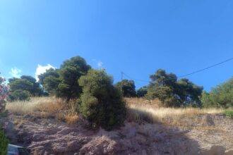 "Πράξεις ευθύνης ή δικαιολογίες εκ των υστέρων;" 24