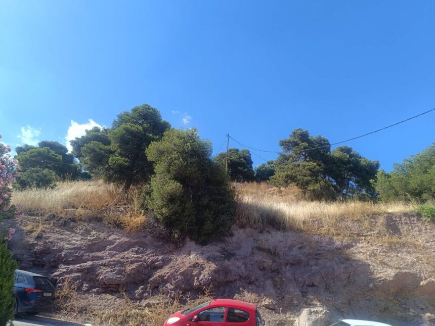 "Πράξεις ευθύνης ή δικαιολογίες εκ των υστέρων;" 1