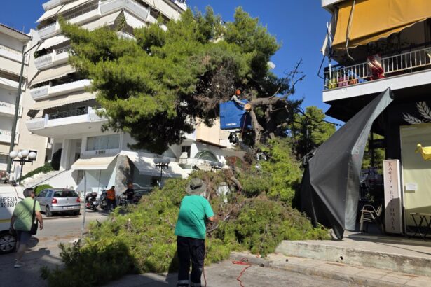 Έσπασε πεύκο στη Γ. Παπανδρέου, από θαύμα δεν τραυματίστηκε κανένας 7
