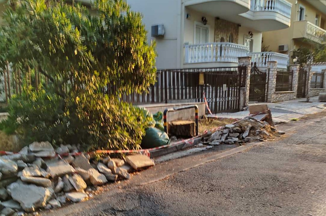 Με αφορμή την κοπή δένδρου στη συμβολή Γ. Παπανδρέου και Κ. Παλαμά 3