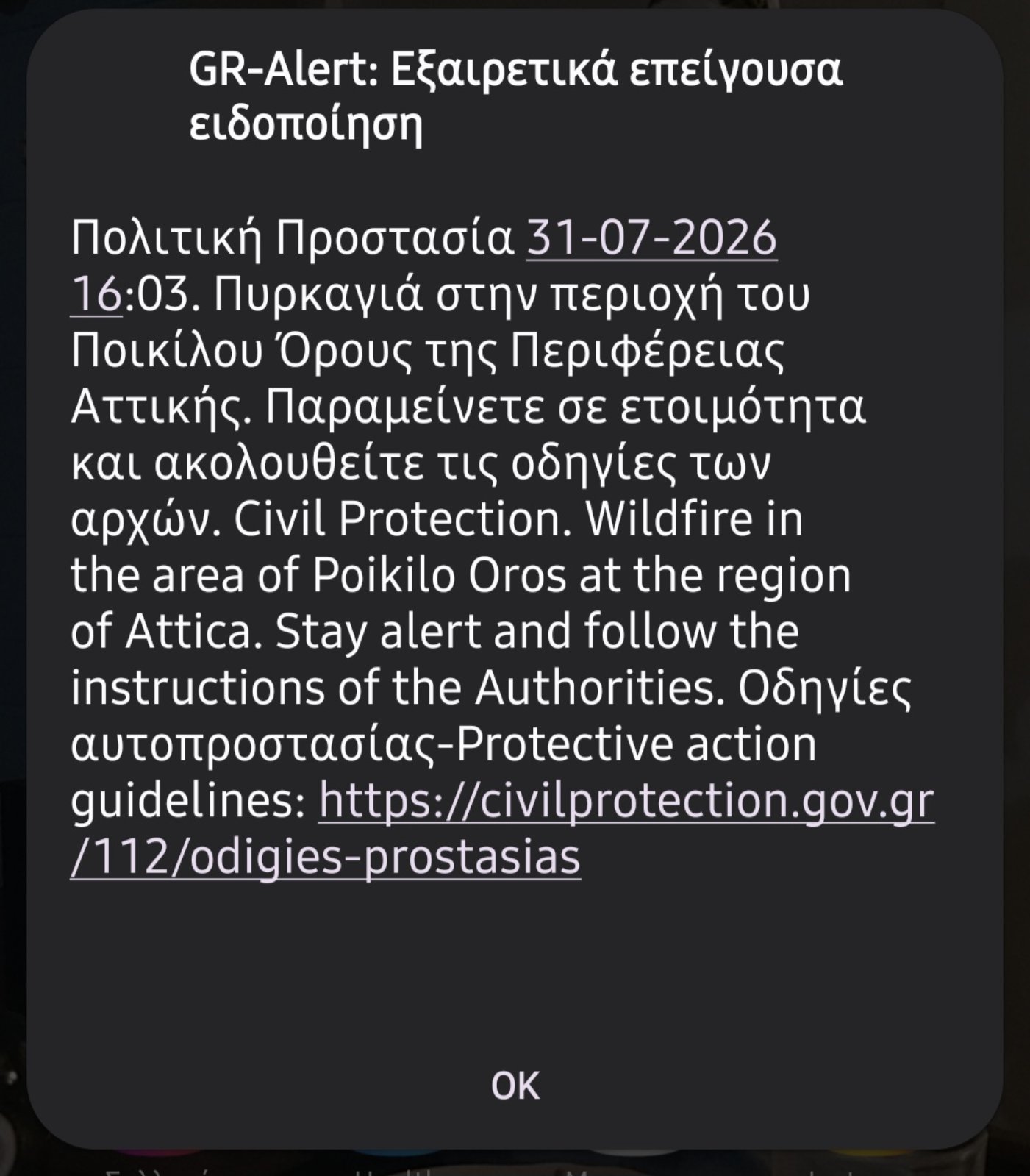 Σήμα 112 για τη φωτιά στο Ποικίλο και μεγάλη κινητοποίηση - Έχει μπει στο βουνό 4 Σήμα 112 για τη φωτιά στο Ποικίλο και μεγάλη κινητοποίηση - Έχει μπει στο βουνό 3