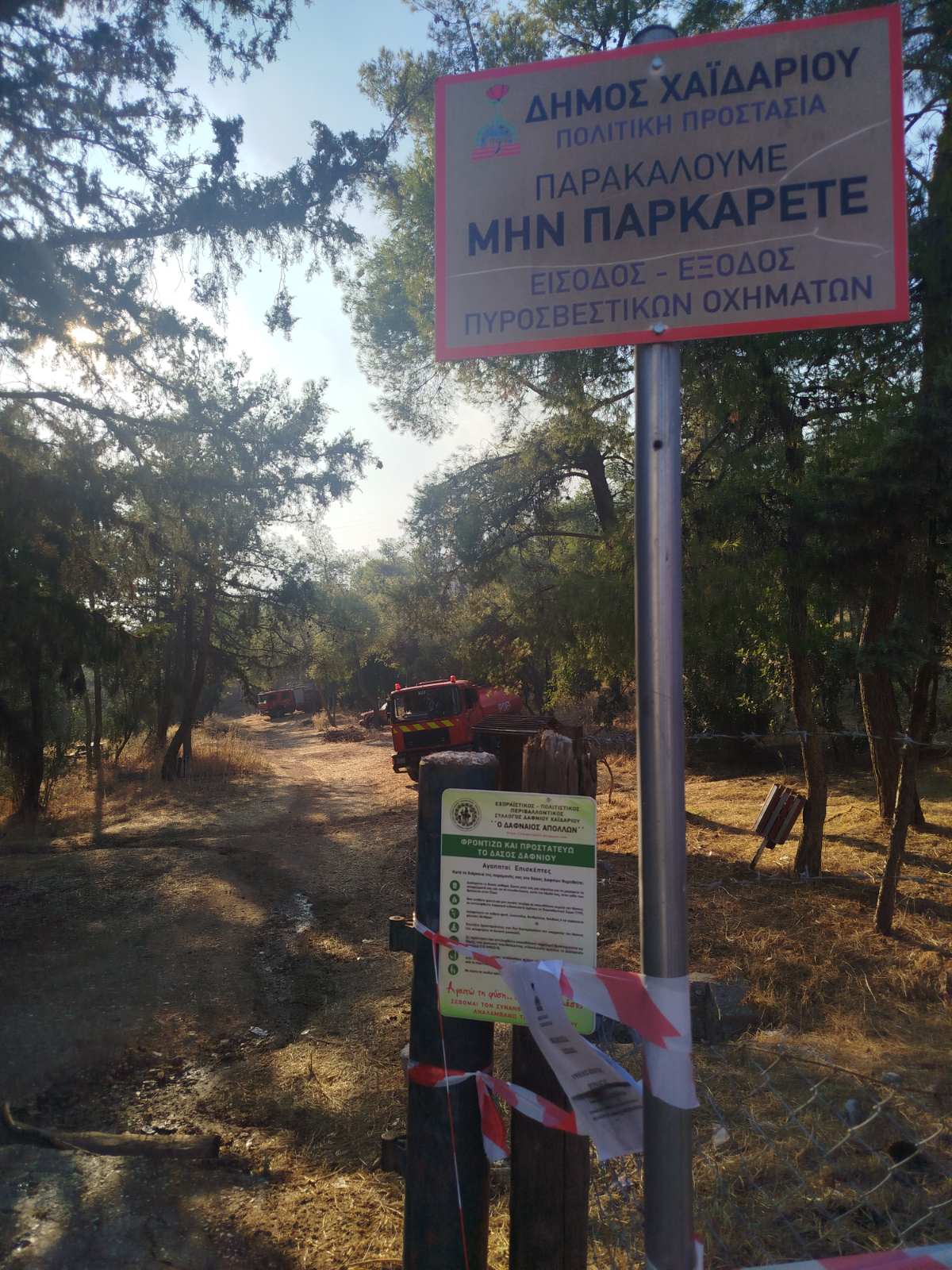 Σε ύφεση η πυρκαγιά, ο "στρατηγός άνεμος" λυπήθηκε το Χαϊδάρι 12 Σε ύφεση η πυρκαγιά, ο "στρατηγός άνεμος" λυπήθηκε το Χαϊδάρι 11