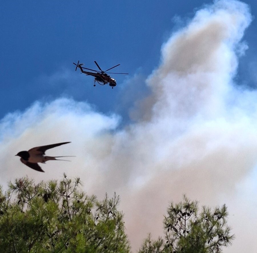 Κόλαση φωτιάς, οι φλόγες πλησιάζουν στο Δαφνί - Εκκενώνεται το ΨΝΑ 4 Κόλαση φωτιάς, οι φλόγες πλησιάζουν στο Δαφνί - Εκκενώνεται το ΨΝΑ 3