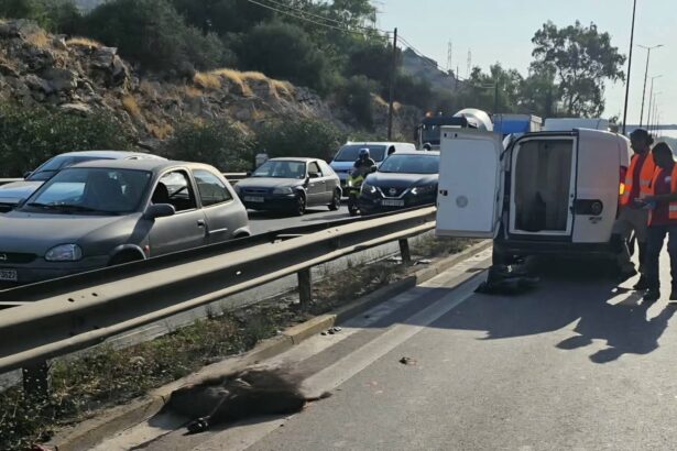 Χαϊδάρι: Το πρώτο τροχαίο με αγριογούρουνο στην Αθηνών-Κορίνθου 3