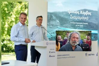 Μ. Σελέκος: Γιατί απείχα από τη φιέστα της κυβέρνησης 33