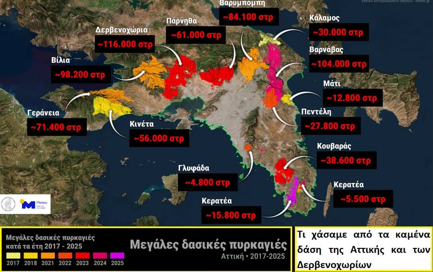Στο καμένο δάσος μην βλέπεις μόνο τους μαύρους κορμούς 1