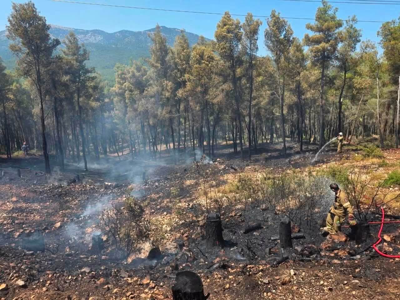 Drones και ετοιμότητα έσωσαν δάσος στα Βίλια 5