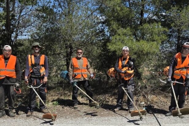 Οι φρουροί του όρους Αιγάλεω 99